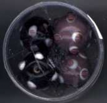 Glasperlen rund Dots lila-weiss